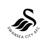 Swansea City