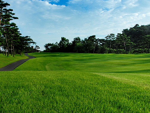 진주 CC
