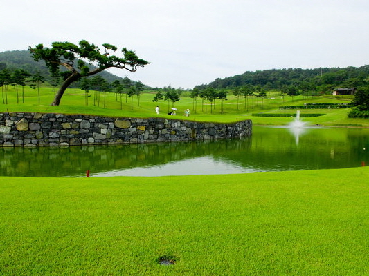 정산 CC