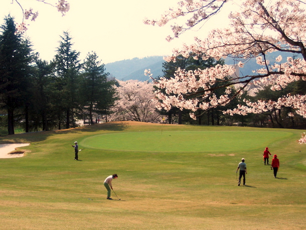 경주 신라 CC