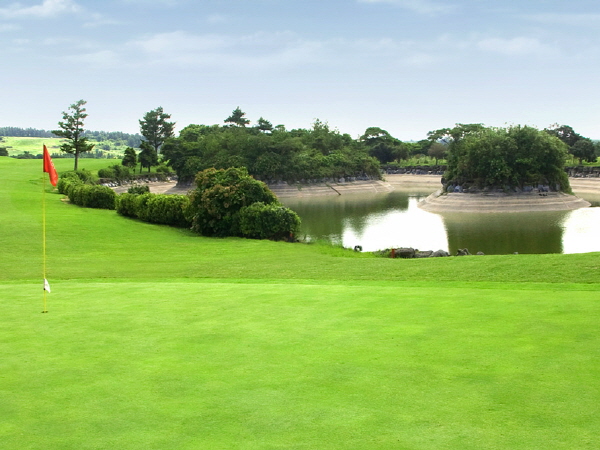 캐슬렉스 제주 GC