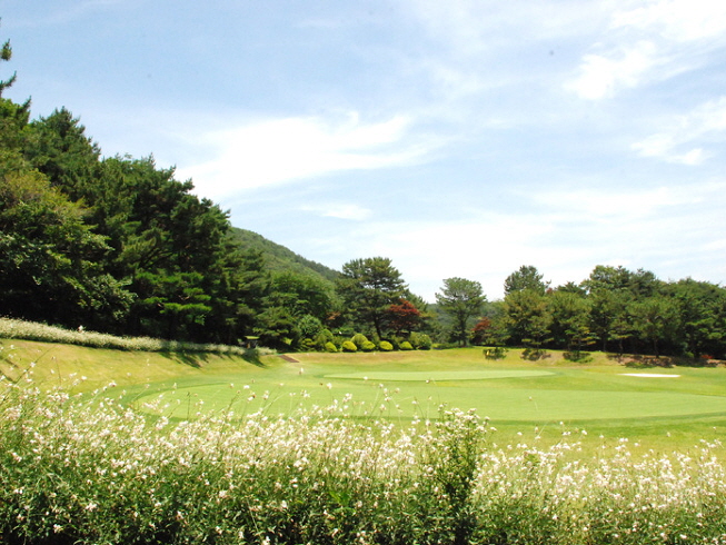 부산 CC