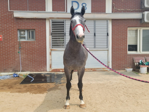 벌교의꿈 사진