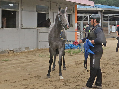 파이널축제 사진