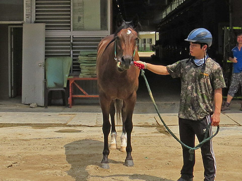 그로우 사진