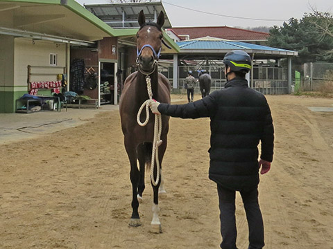 점순이고 사진
