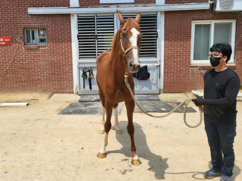 가속제일 사진