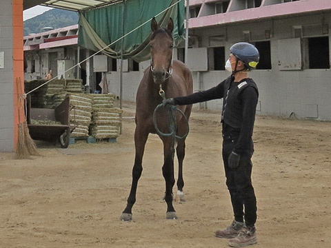 글로리앤아너 사진