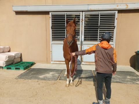 절대보스 사진