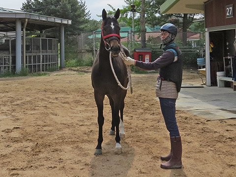 송암스카이 사진