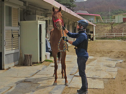 천행챗 사진