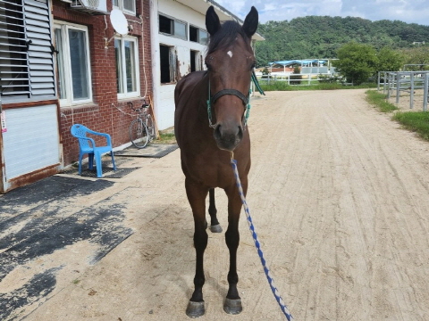 네옴시티 사진