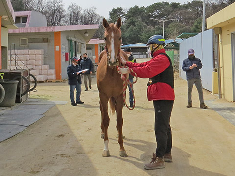 이클립스베리 사진