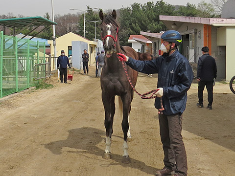 신의여제 사진