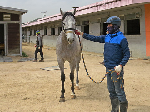 라라케이 사진