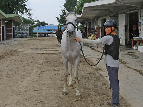 파이널고 사진