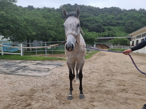 광야의함성 사진