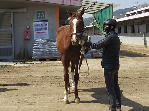 한강캡틴 사진