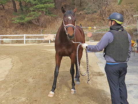 베스트토르 사진