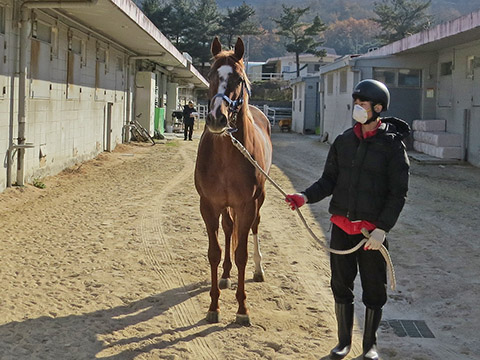 크리솔동해 사진
