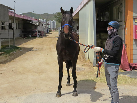 블랙벨트 사진