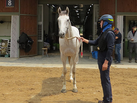 세광질주 사진