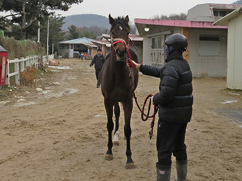 블랙스펙터 사진