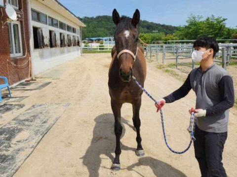 금아프리시드 사진
