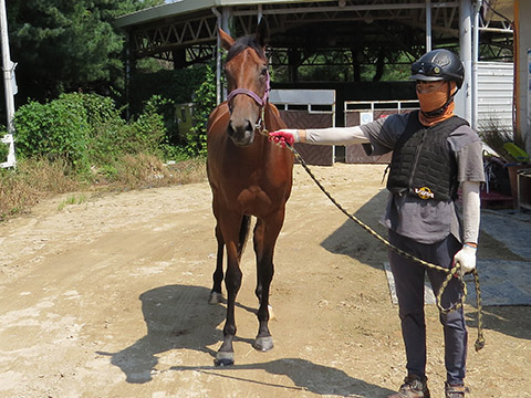 브라이트카이 사진