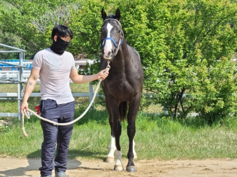 블랙스프링 사진