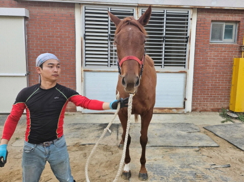 퀸오브드래곤 사진