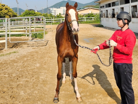서귀오성탑 사진