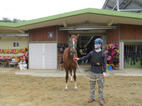 문학댄스 사진