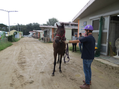 스마트그랜드 사진