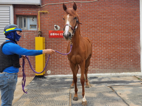 운주대박 사진