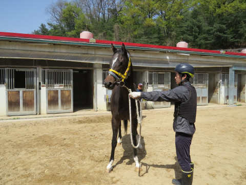 라온더케이샤 사진