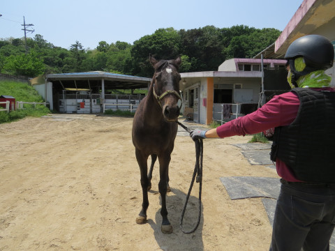 스마트뮤직 사진