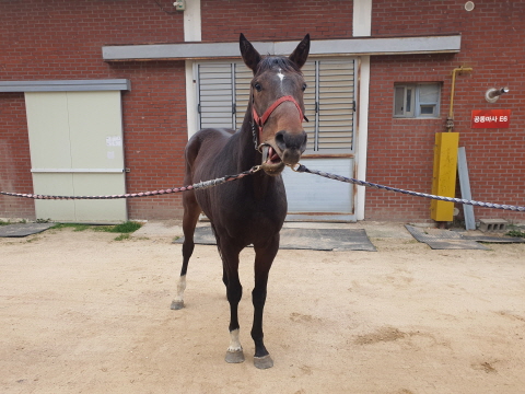 비뢰서브 사진