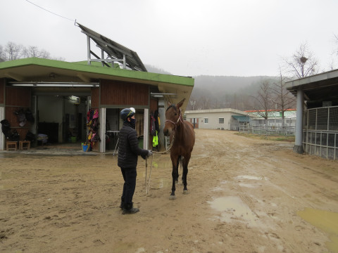 폭스트롯 사진