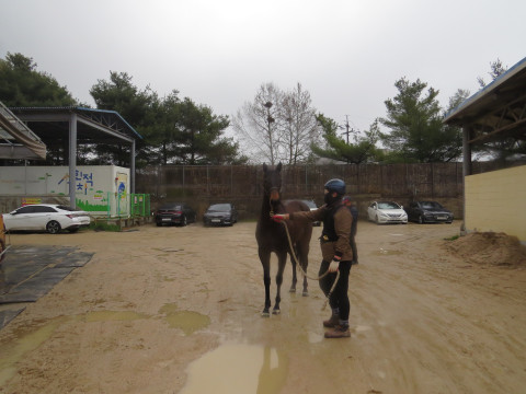 몬탁선샤인 사진