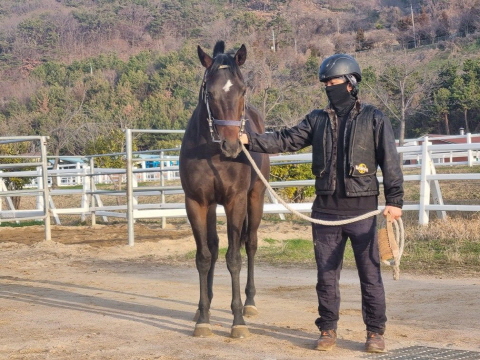 용비패왕 사진