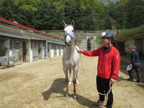 라온노던댄스 사진