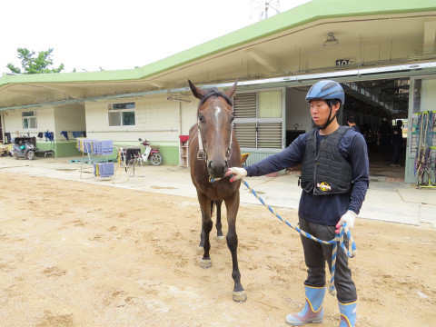 천지레이디 사진