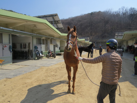 한강퍼펙트 사진