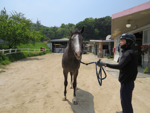화이트칼라 사진