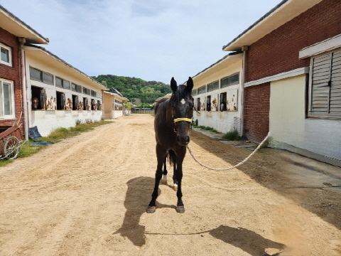 용암블랙 사진