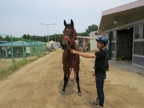 오늘도스마일 사진