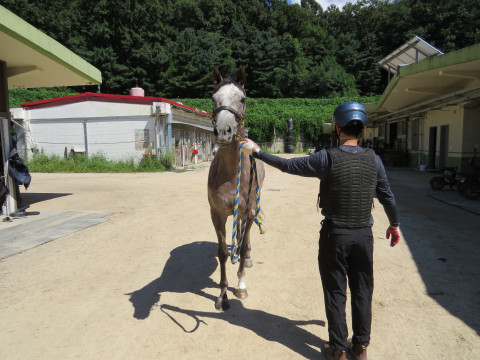 시크릿울프 사진