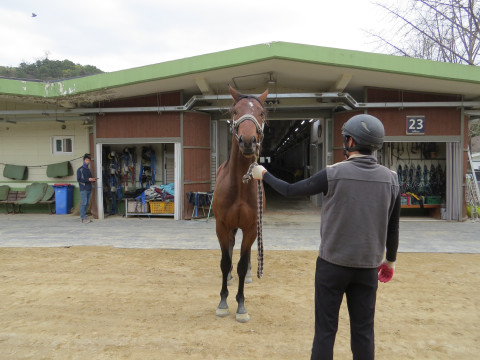 송당황태자 사진