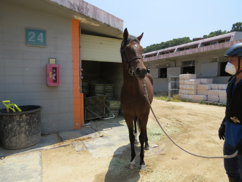 팰로앨토 사진